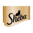 Sheba